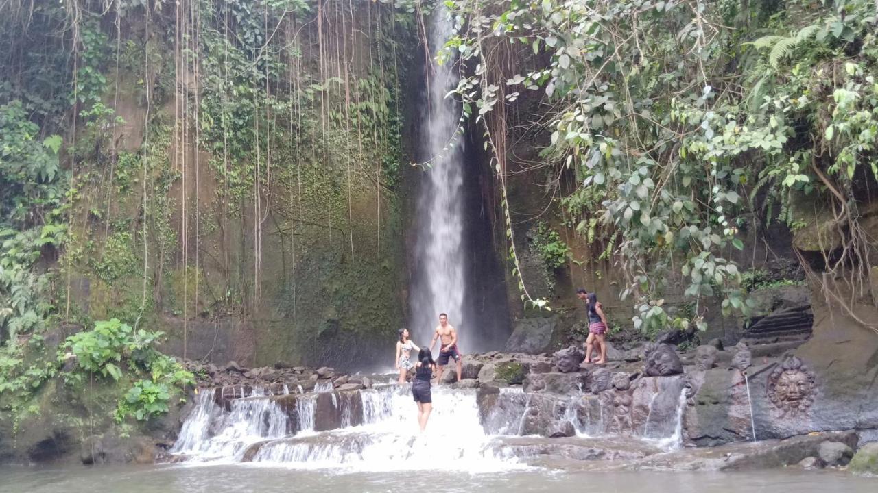 Baliwid Villa Ubud Екстер'єр фото