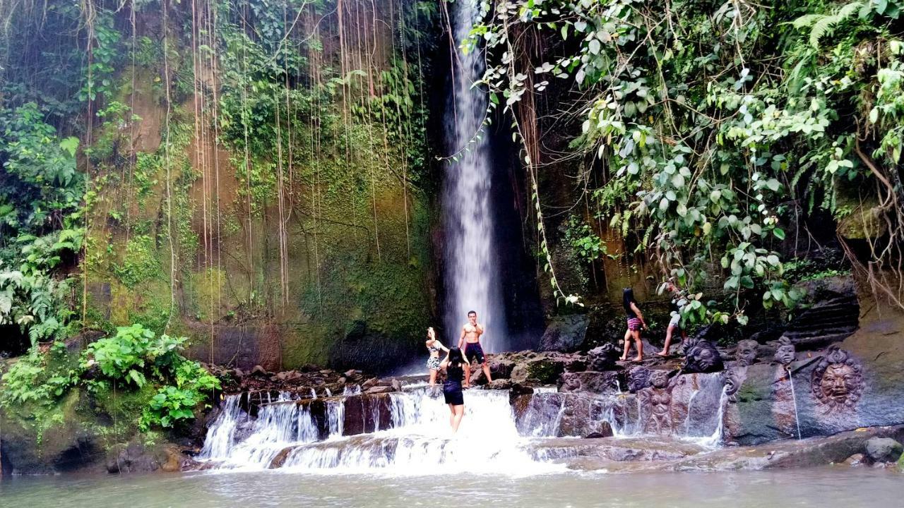 Baliwid Villa Ubud Екстер'єр фото